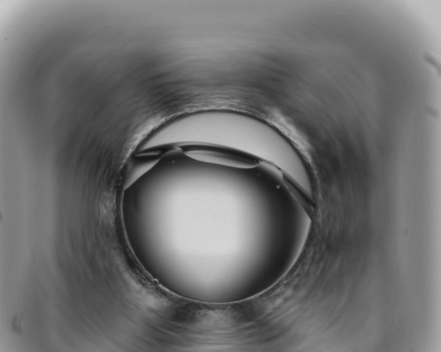X0000095930107200801181449