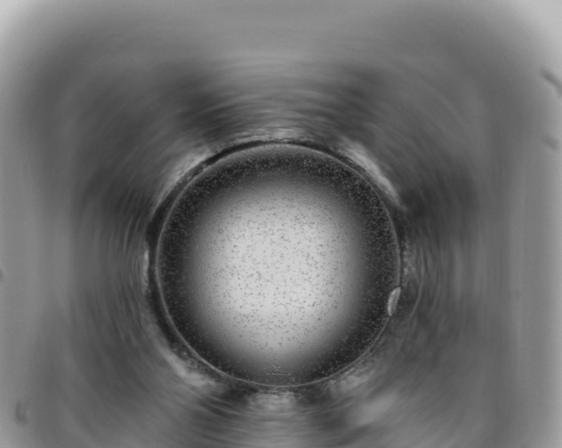 X0000095930110200801181448