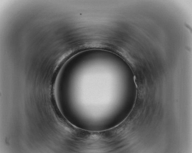X0000095930111200801181448
