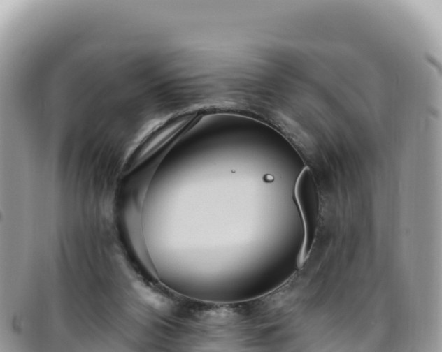 X0000095930112200801181448