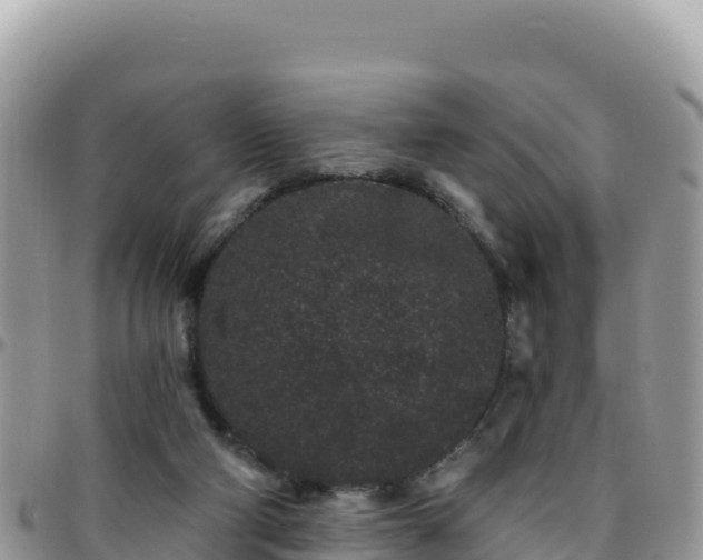 X0000095930114200801181448
