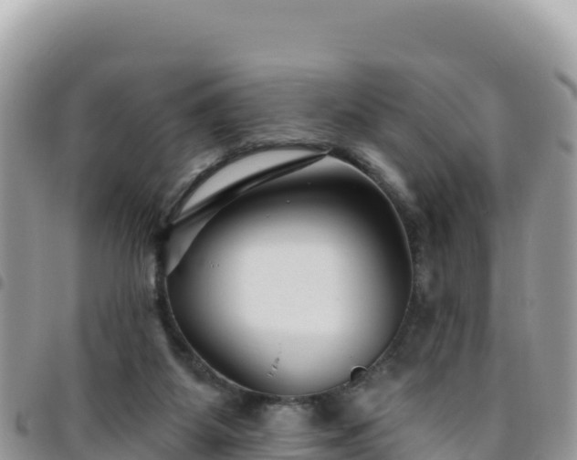 X0000095930115200801181448