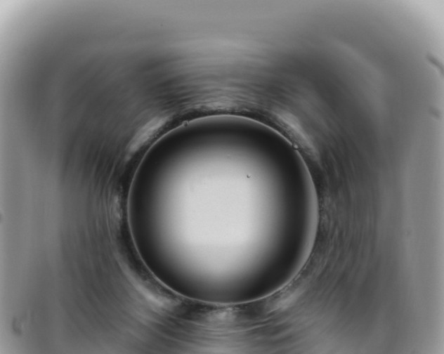 X0000095930116200801181448