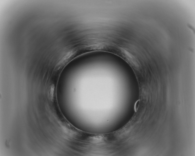X0000095930118200801181448