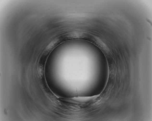 X0000095930119200801181448