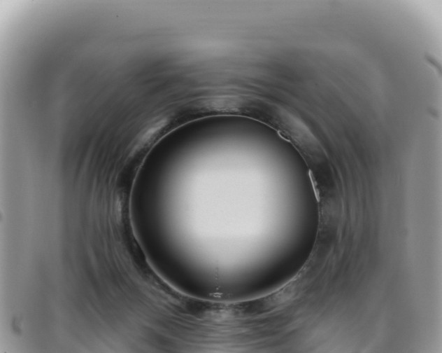 X0000095930120200801181448
