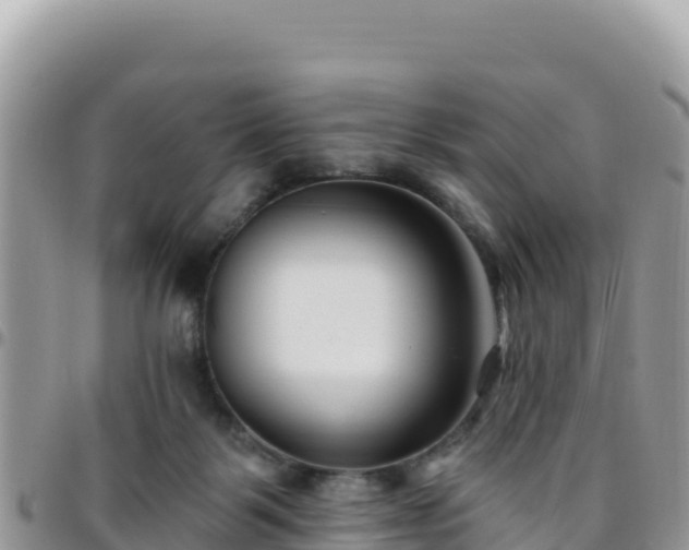 X0000095930123200801181448