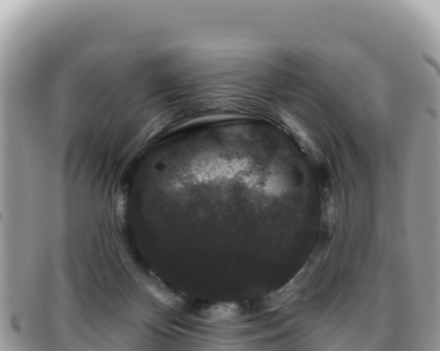 X0000095930124200801181448
