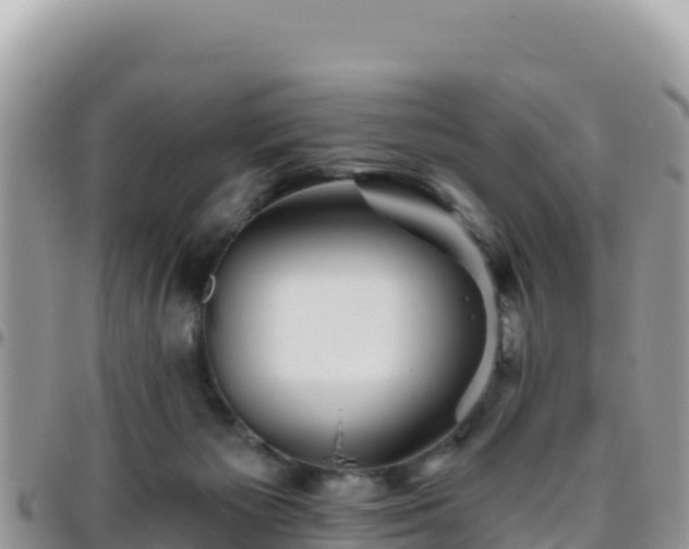 X0000095930125200801181448