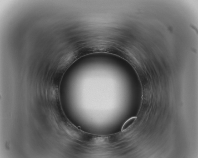 X0000095930126200801181448