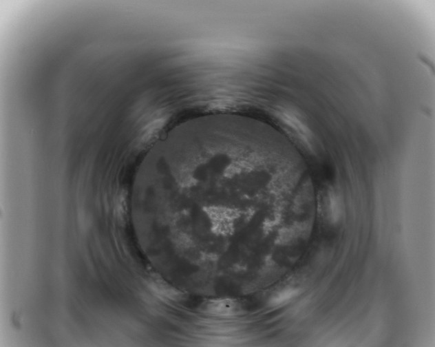 X0000095930127200801181448
