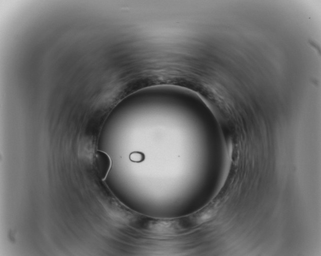 X0000095930129200801181448