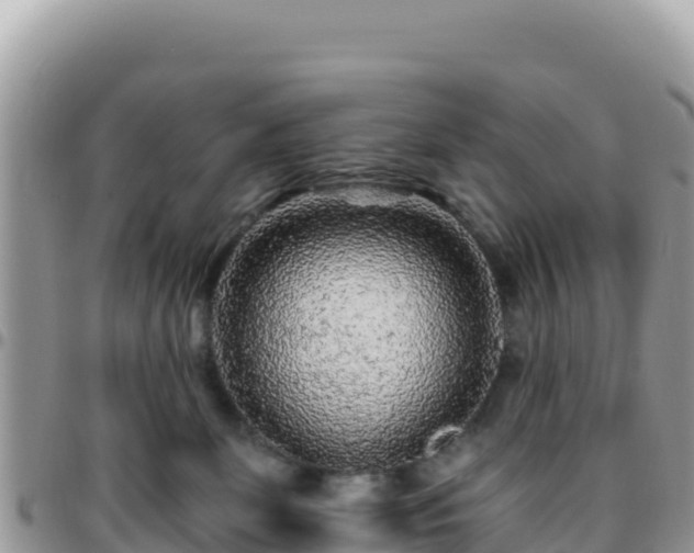 X0000095930131200801181448