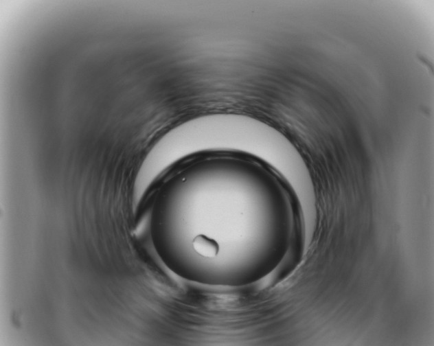 X0000095930132200801181448