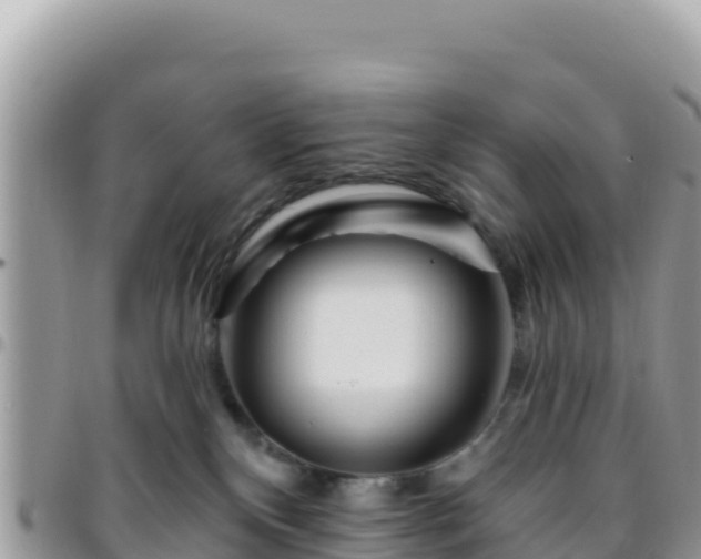 X0000095930136200801181448