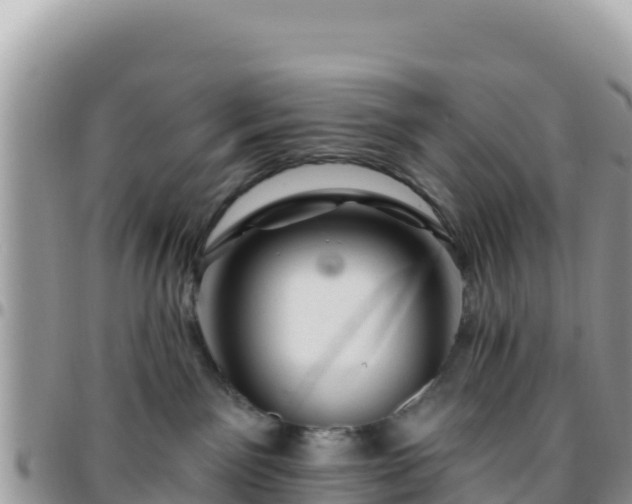 X0000095930141200801181448