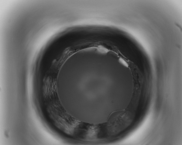 X0000095930143200801181448