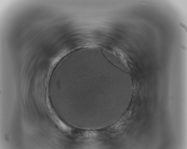 X0000095930145200801181447