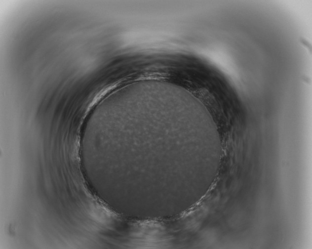 X0000095930146200801181447