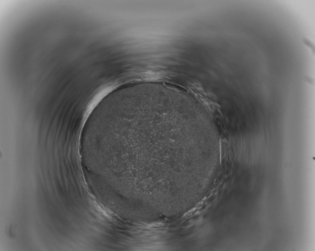 X0000095930147200801181447