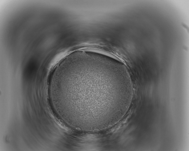 X0000095930149200801181447