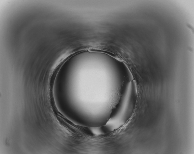 X0000095930150200801181447
