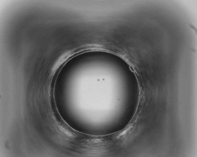 X0000095930151200801181447