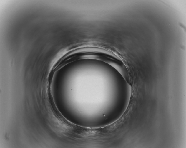 X0000095930152200801181447