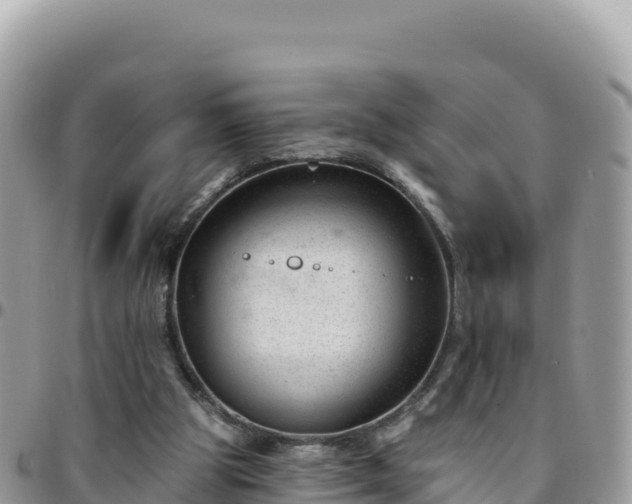 X0000095930153200801181447