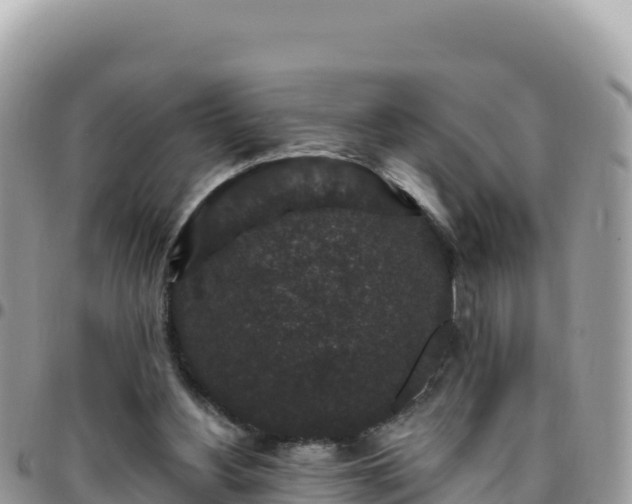 X0000095930156200801181448