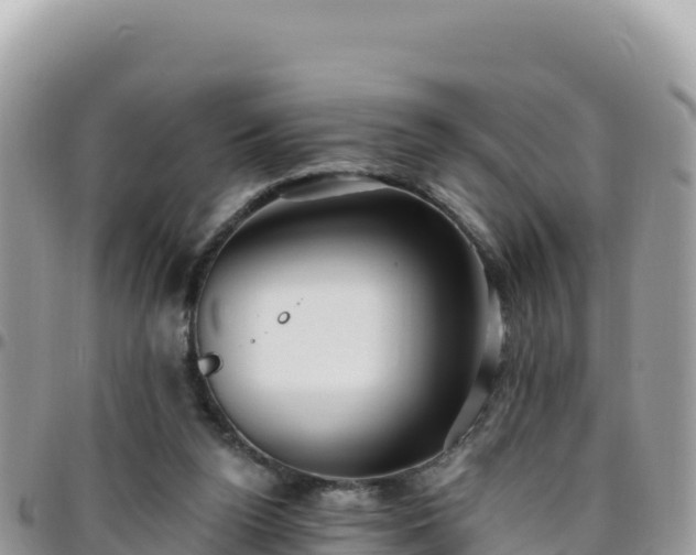 X0000095930160200801181448