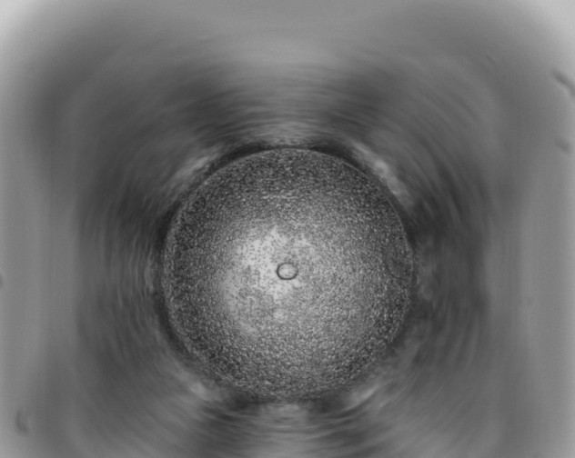 X0000095930161200801181448