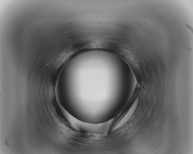 X0000095930164200801181448