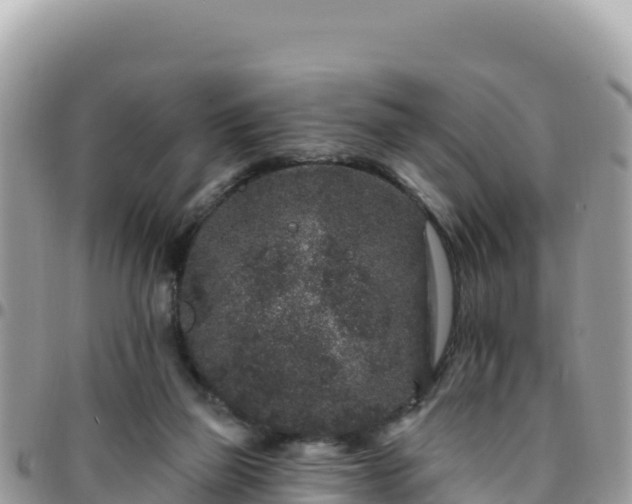X0000095930165200801181448