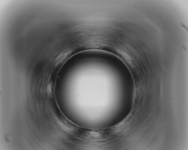 X0000095930166200801181448