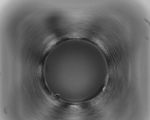 X0000095930167200801181448