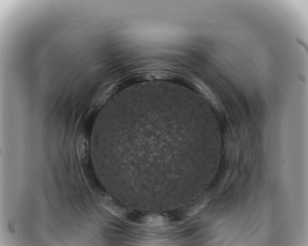 X0000095930169200801181448