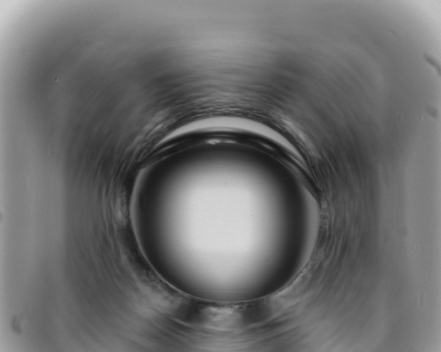 X0000095930170200801181448