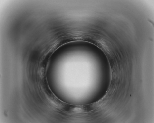 X0000095930171200801181448