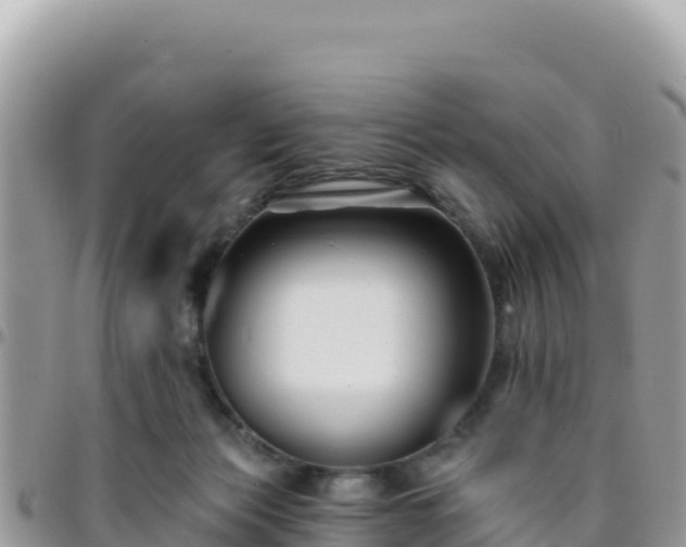 X0000095930173200801181448