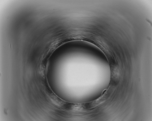 X0000095930175200801181448