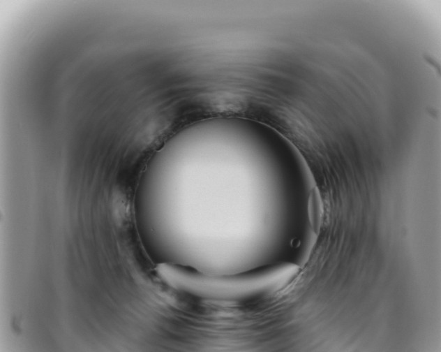 X0000095930176200801181448