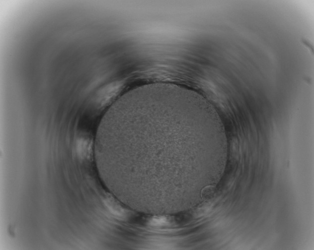 X0000095930177200801181448