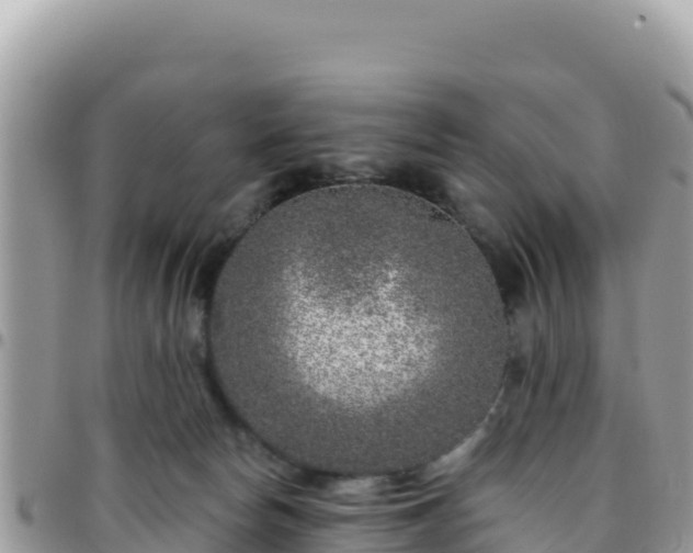 X0000095930178200801181448