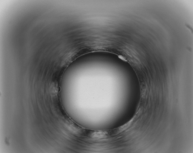 X0000095930179200801181448