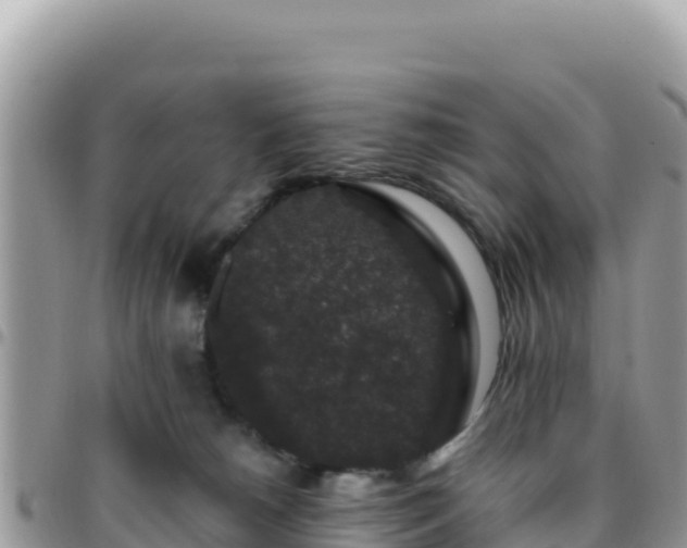 X0000095930180200801181448