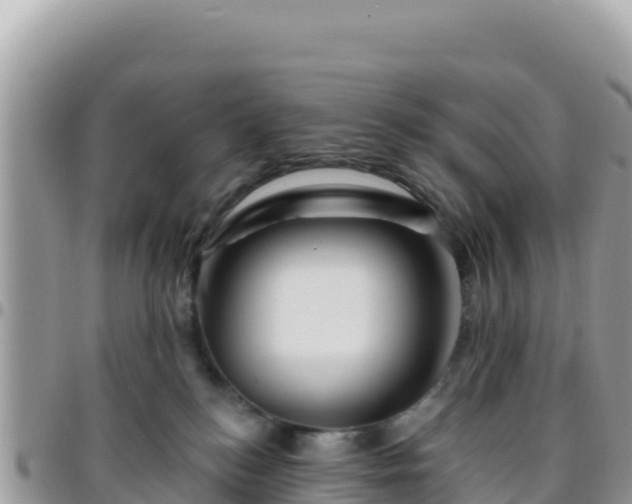X0000095930184200801181448