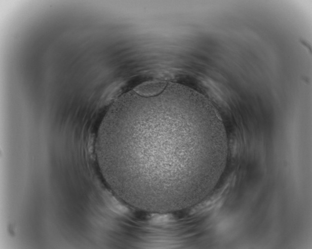 X0000095930185200801181448