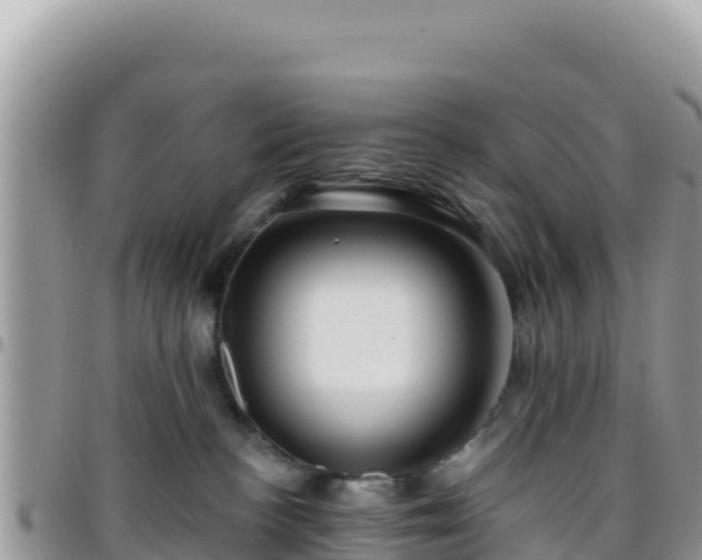X0000095930188200801181448