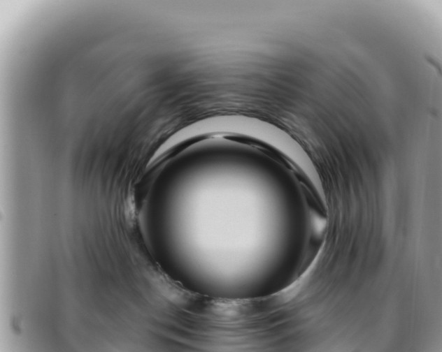 X0000095930190200801181448